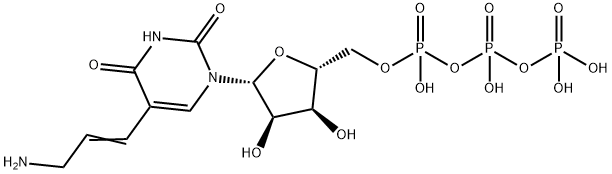 AMINOALLYL UTP Struktur