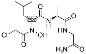 CHLOROACETYL-N-HYDROXY-DL-LEU-ALA-GLY-NH2 Struktur