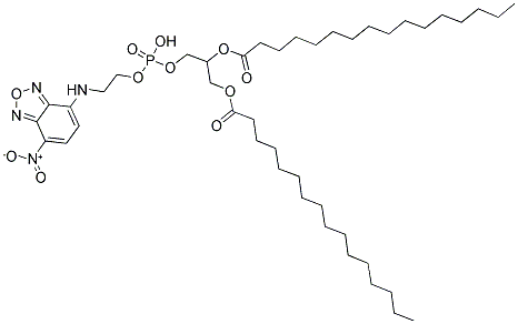 1,2-DIPALMITOYL-SN-GLYCERO-3-PHOSPHOETHANOLAMINE-N-(7-NITRO-2-1,3-BENZOXADIAZOL-4-YL) Struktur