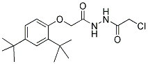 N'1-(2-CHLOROACETYL)-2-[2,4-DI(TERT-BUTYL)PHENOXY]ETHANOHYDRAZIDE Struktur