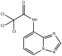 2,2,2-TRICHLORO-N-[1,2,4]TRIAZOLO[1,5-A]PYRIDIN-8-YLACETAMIDE Struktur