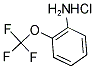 2-(TRIFLUOROMETHOXY)ANILINE HYDROCHLORIDE Struktur