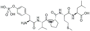 PDGF BETA-RECEPTOR (719-723) (PHOSPHORYLATED) Struktur