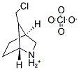 7-(CHLOROMETHYL)-2-AZONIABICYCLO[2.2.1]HEPTANE PERCHLORATE Struktur