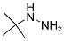 TERT-BUTYL-HYDRAZINE Struktur