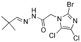 N'1-(2,2-DIMETHYLPROPYLIDENE)-2-(2-BROMO-4,5-DICHLORO-1H-IMIDAZOL-1-YL)ETHANOHYDRAZIDE Struktur