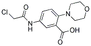 5-[(2-CHLOROACETYL)AMINO]-2-MORPHOLINOBENZOIC ACID Struktur