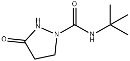 N-(TERT-BUTYL)-3-OXO-1-PYRAZOLIDINECARBOXAMIDE Struktur