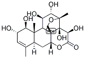 BRUCEINE E