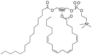 PHOSPHATIDYLCHOLINE, L-ALPHA-1-PALMITOYL-, 2-ARACHIDONYL, [ARACHIDONYL-1-14C] Struktur