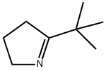 5-(TERT-BUTYL)-3,4-DIHYDRO-2H-PYRROLE Struktur