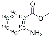 METHYL ANTHRANILATE, [RING-14C(U)] Struktur