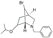 2-BENZYL-7-BROMO-6-ISOPROPOXY-2-AZABICYCLO[2.2.1]HEPTANE Struktur