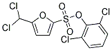 2,6-DICHLOROPHENYL 5-(DICHLOROMETHYL)FURAN-2-SULFONATE Struktur