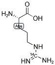 ARGININE, L-[GUANIDO-14C]- Struktur