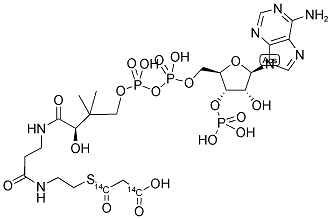 MALONYL COENZYME A, [MALONYL-1,3-14C] Struktur