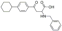 2-(BENZYLAMINO)-4-(4-CYCLOHEXYLPHENYL)-4-OXOBUTANOIC ACID Struktur