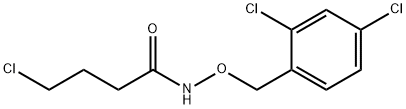 4-CHLORO-N-[(2,4-DICHLOROBENZYL)OXY]BUTANAMIDE Struktur