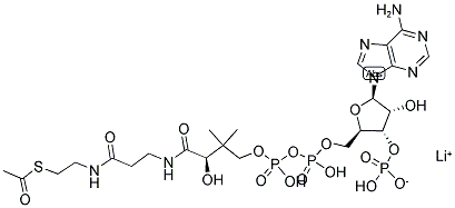 ACETYL COENZYME A, LI SALT Struktur