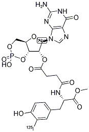 GUANOSINE 3',5'-CYCLIC PHOSPHORIC ACID, 2'-O-SUCCINYL 3-[125I]IODOTYROSINE METHYL ESTER Struktur