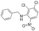 N1-BENZYL-2,3-DICHLORO-6-NITROANILINE Struktur