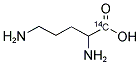 ORNITHINE, D-, [1-14C] Struktur