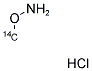 METHOXYAMINE HYDROCHLORIDE, [14C] Struktur