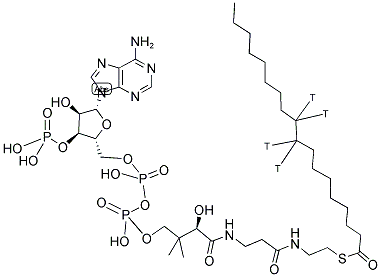 STEAROYL COENZYME A, [STEAROYL 9,10-3H] Struktur