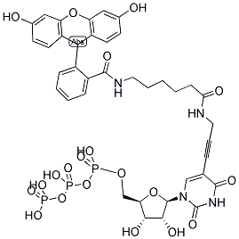 FLUORESCEIN-12-UTP Struktur