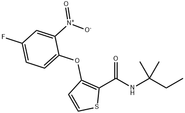 3-(4-FLUORO-2-NITROPHENOXY)-N-(TERT-PENTYL)-2-THIOPHENECARBOXAMIDE Struktur