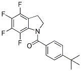 1-(4-TERT-BUTYLBENZOYL)-4,5,6,7-TETRAFLUORO-2,3-DIHYDRO-(1H)-INDOLE Struktur