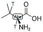 L-VALINE, [2,3-3H] Struktur