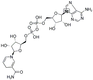 BETA-NADH Struktur