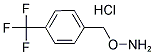 1-[(AMMONIOOXY)METHYL]-4-(TRIFLUOROMETHYL)BENZENE CHLORIDE price.