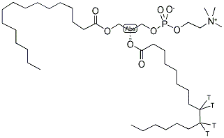 PHOSPHATIDYLCHOLINE, L-ALPHA-DIPALMITOYL, [2-PALMITOYL-9,10-3H(N)] Struktur