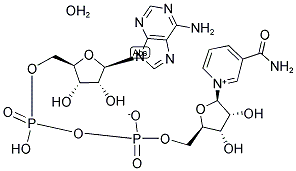 BETA-DIPHOSPHOPYRIDINE NUCLEOTIDE HYDRATE, OXIDIZED FORM Struktur