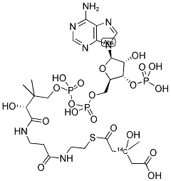 3-HYDROXY-3 METHYL[3-14C]GLUTARYL-COENZYME A Struktur