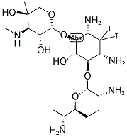 GENTAMICIN, [3H(G)] Struktur