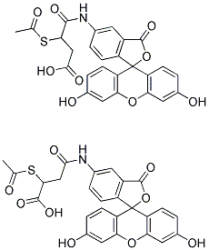 SAMSA-Fluorescein Struktur