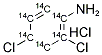 2,4-DICHLOROANILINE [14C(U)], HYDROCHLORIDE Struktur