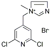 1-[(2,6-DICHLORO-4-PYRIDYL)METHYL]-1-METHYL-1H-IMIDAZOL-1-IUM BROMIDE Struktur