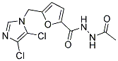 N'2-ACETYL-5-[(4,5-DICHLORO-1H-IMIDAZOL-1-YL)METHYL]FURAN-2-CARBOHYDRAZIDE Struktur