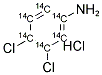 3,4-DICHLOROANILINE HYDROCHLORIDE, [14C(U)] Struktur