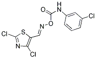 2,4-DICHLORO-5-[(([(3-CHLOROANILINO)CARBONYL]OXY)IMINO)METHYL]-1,3-THIAZOLE Struktur