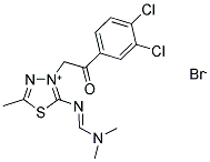 3-[2-(3,4-DICHLOROPHENYL)-2-OXOETHYL]-2-([(DIMETHYLAMINO)METHYLIDENE]AMINO)-5-METHYL-1,3,4-THIADIAZOL-3-IUM BROMIDE Struktur