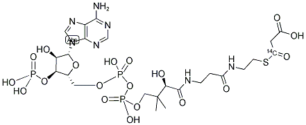 MALONYL COENZYME A, [MALONYL-2-14C] Struktur