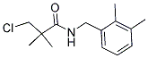 N1-(2,3-DIMETHYLBENZYL)-3-CHLORO-2,2-DIMETHYLPROPANAMIDE Struktur