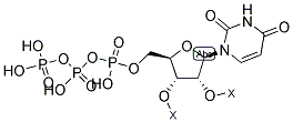 URIDINE 5'-TRIPHOSPHATE RESIN Struktur