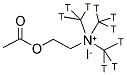 ACETYLCHOLINE IODIDE, [METHYL-3H] Struktur