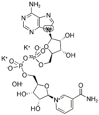 NICOTINAMIDE ADENINE DINUCLEOTIDE, [ADENYLATE-32P] DIPOTASSIUM SALT Struktur